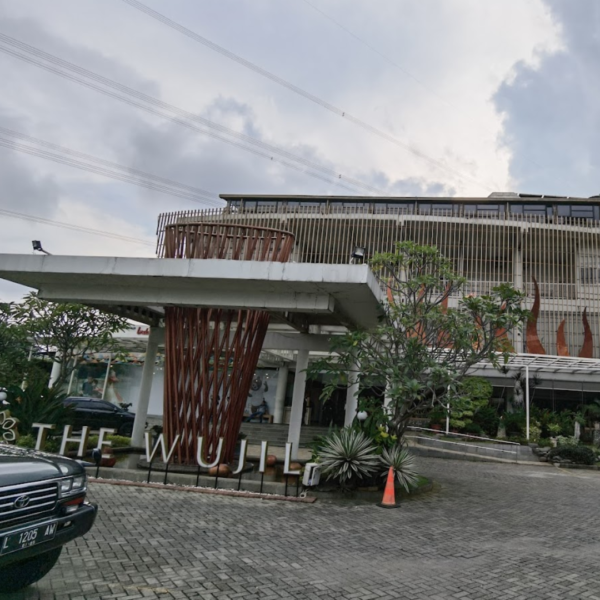The Wujil